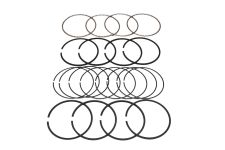 Поршневые кольца 3,8 литра EGH (комплект)