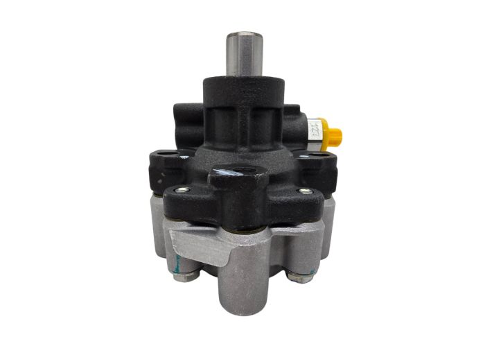 Насос гидроусилителя руля  3,3 / 3,8 литра EGH