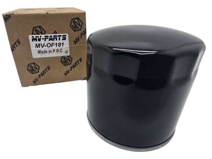 Масляный фильтр 3,3 литра EGA / 3,8 литра EGH